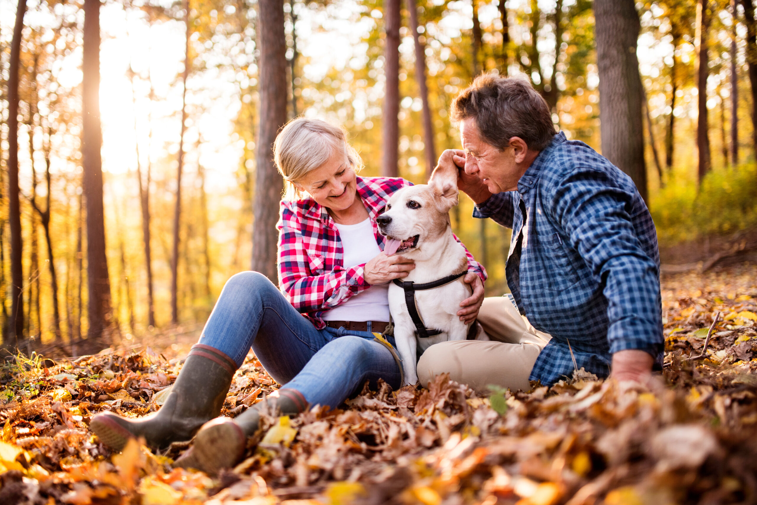 Two adults with a dog